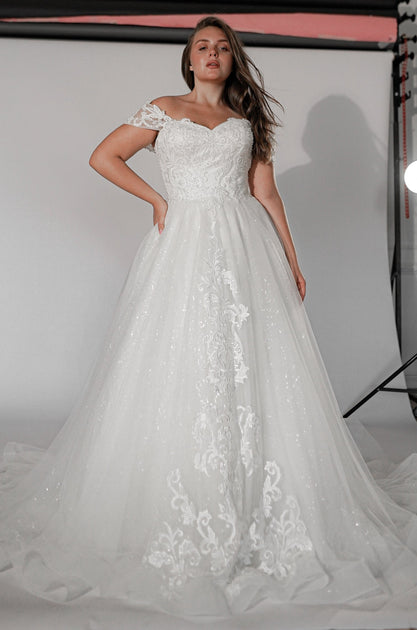 Elegant Ball Gown Long Sleeve Lace Wedding Dress Plus Size Bridal